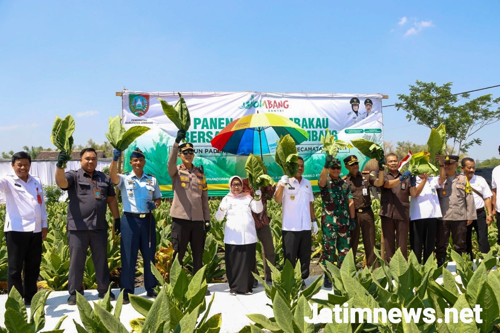 Forkopimda Jombang Hadiri Panen Raya Tembakau di Kabuh