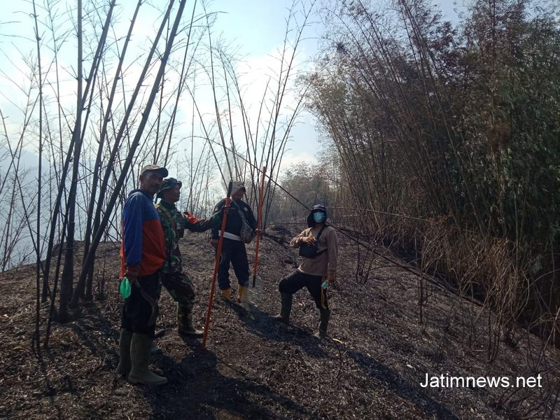 Kebakaran Hutan di Gunung Anjasmoro Wonosalam Berhasil Dipadamkan