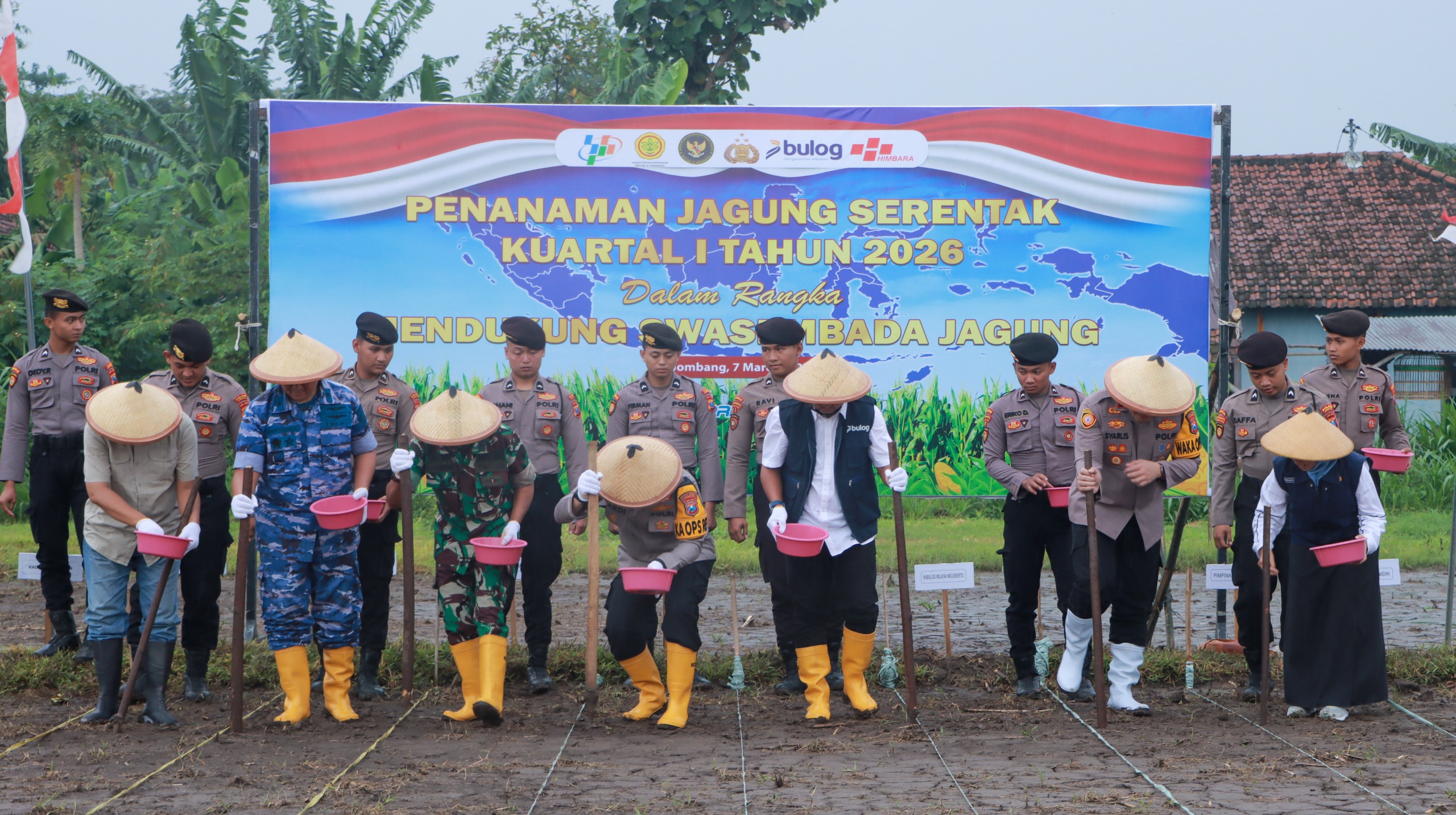Penanaman Jagung Serentak Kuartal I 2026 di Jombang Dukung Program Swasembada Jagung Nasional