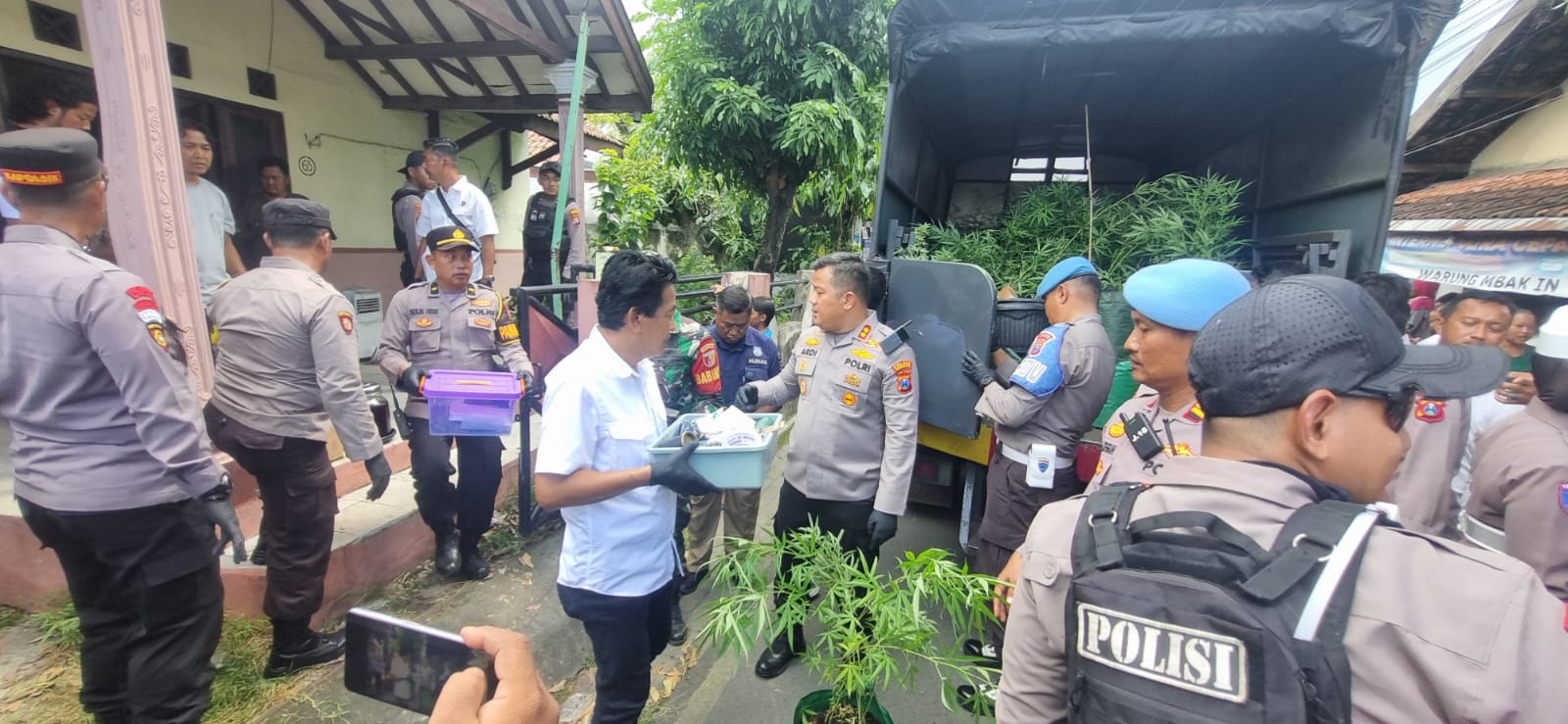 Polisi Amankan Ratusan Tanaman Ganja dari Rumah Kontrakan di Mojongapit Jombang