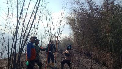 Kebakaran Hutan di Gunung Anjasmoro Wonosalam Berhasil Dipadamkan