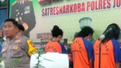 Pasutri Ini Ternyata Otak Kasus Greenhouse Ganja  kontrak di  Desa Candi Mulyo Jombang