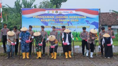 Penanaman Jagung Serentak Kuartal I 2026 di Jombang Dukung Program Swasembada Jagung Nasional