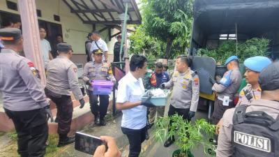 Polisi Amankan Ratusan Tanaman Ganja dari Rumah Kontrakan di Mojongapit Jombang